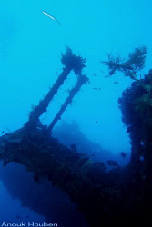 Picture taken at the Liberty wreck in Tulamben, North-Eas... by Anouk Houben 